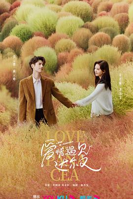 沧州seo优化哪家强